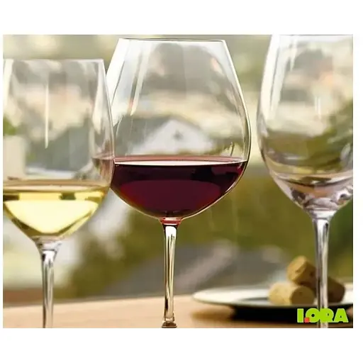 Набір келихів для вина Lora Монако 950 мл 2 шт. NGC197SETWINE - фото 3