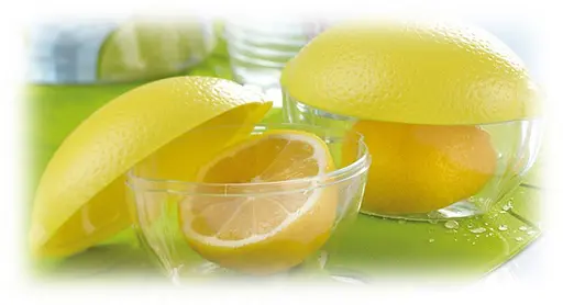 Контейнер для лимона Snips (Италия) - фото 3