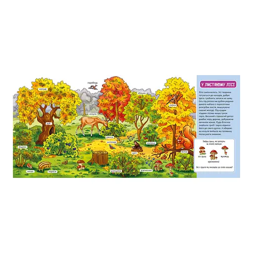Мій перший словничок "У лісі" Ранок 116032 з віконцями - фото 2