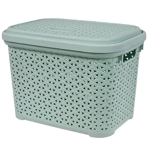 Корзина DIOMEDEO с крышкой 18 л светло-фисташковая (К21-374)  - фото 1