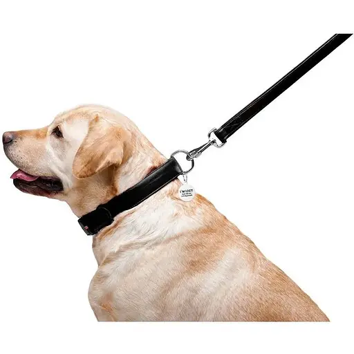 Повідець для собак Waudog Glamour шкіряний, чорний - фото 6