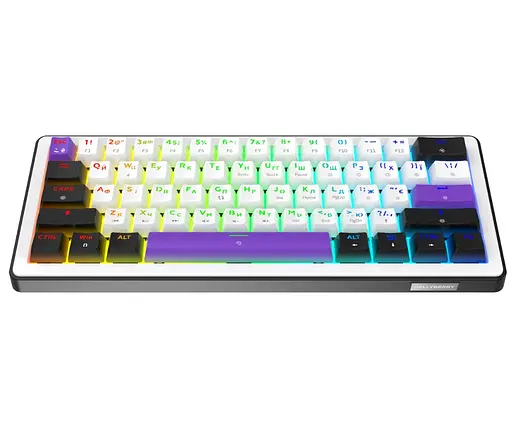 Клавіатура ігрова механічна HATOR HK-60-WV Hellyberry Switch USB White-Violet - фото 2
