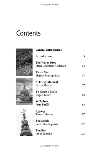 Copenhagen Tales - фото 3