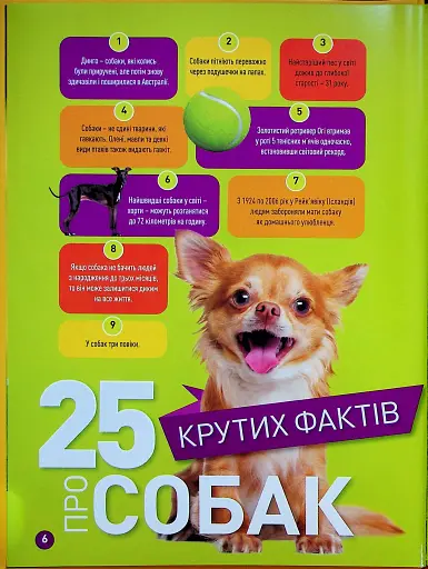 Гав! 100 цікавих фактів про собак - фото 2