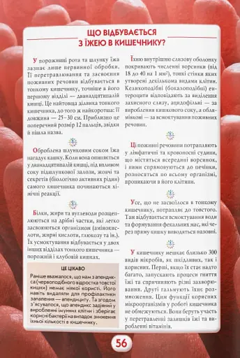 Ви маєте це знати. Тіло людини - фото 13