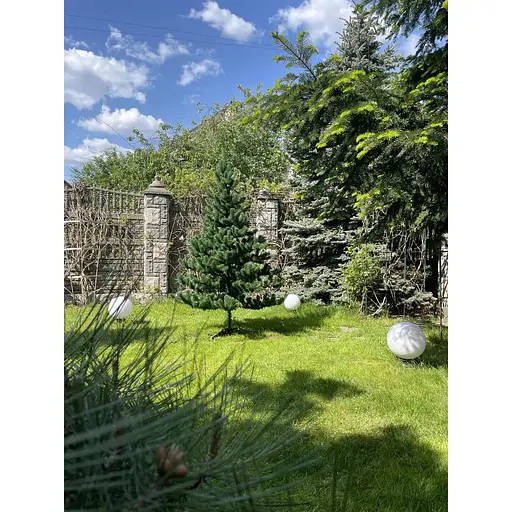 Ялинка штучна Hvoya Classic 220 см зелена - фото 7