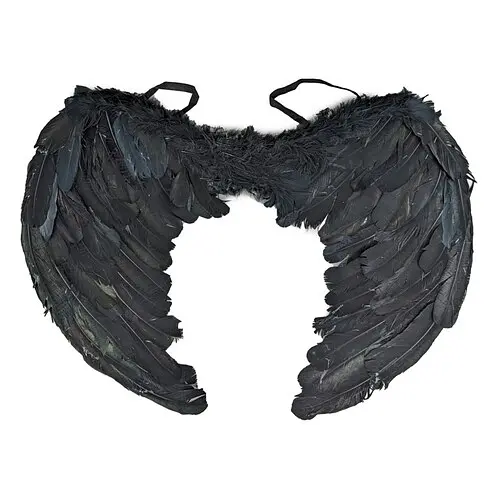 Крылья ангела - фото 1