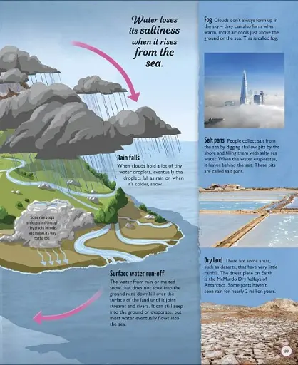 Life Cycles. Everything from Start to Finish - фото 3