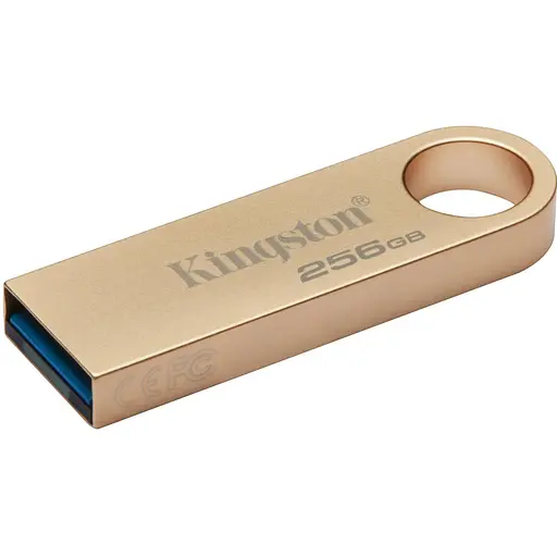 Флеш-накопичувач Kingston 256GB USB 3.2 Type-A DT SE9 G3 (DTSE9G3/256GB) - фото 1