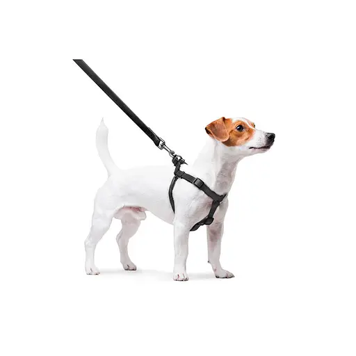 Шлей для собак водостойкий Waudog Waterproof с QR-паспортом металлическая пряжка-фастекс Ш 15 мм Д 40-55 см черный - фото 6