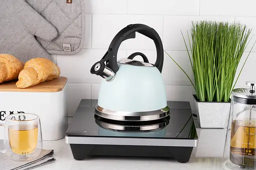 Чайник Ardesto Gemini 2 л нержавеющая сталь - фото 4