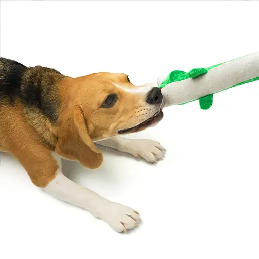 Игрушка для Собак Barksi Аллигатор с хрустящим туловищем и пищалкой   - фото 5