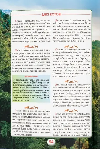 Ви маєте це знати. Світ звірів - фото 13