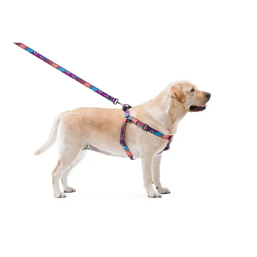 Нашийник для собак нейлоновий Waudog Nylon з QR-паспортом "Літо" пластиковий фастекс Ш 20 мм Д 28-40 см - фото 7