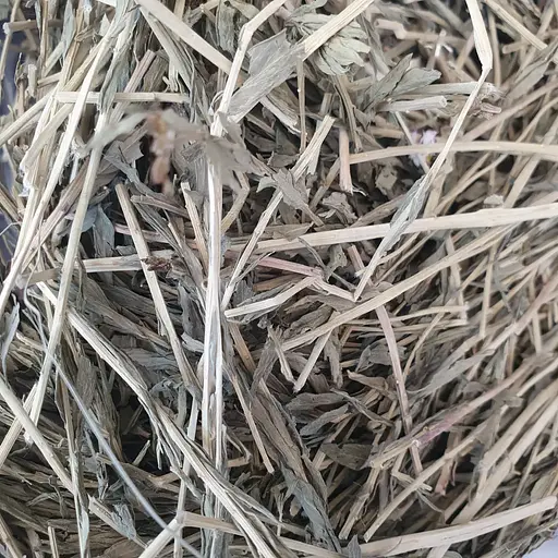 100 г селера трава пахучая обыкновенная сушеная - свежий урожай