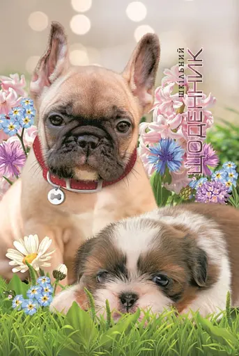 Щоденник, 70 г, 7БЦ, 165x240 мм, 40 аркушів, матова ламінація, 2238