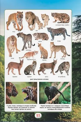 Ви маєте це знати. Світ звірів - фото 14