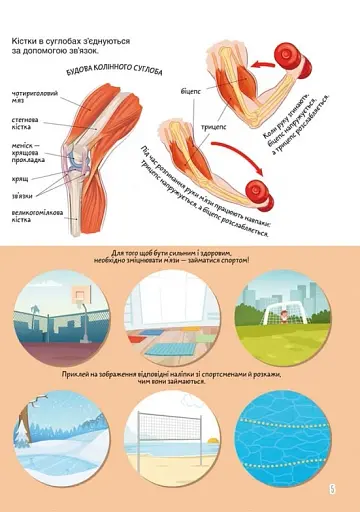 Книжка з наліпками. Тіло людини - фото 3