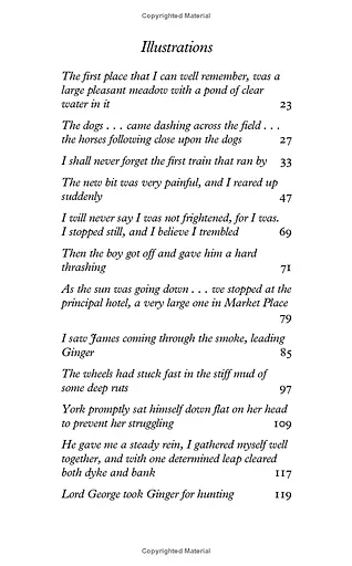 Black Beauty - фото 6