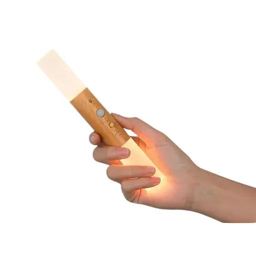 Світлодіодні настінні світильники Birnetek з датчиком руху Birnetek USB 2 шт.