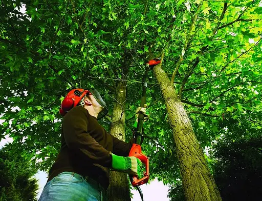 Висоторіз електричний Black&Decker зі штангою PS7525 - фото 6