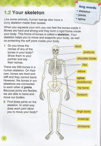 Collins International Primary Science 4 Student's Book - фото 4