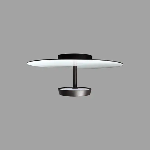 Потолочный светильник Skarlat RXD4003 12W BK+WH 4000K