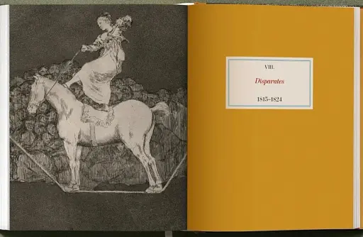 Goya. The Complete Prints - фото 23