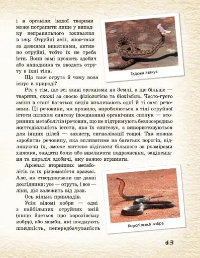 Тварини навколо нас - фото 10