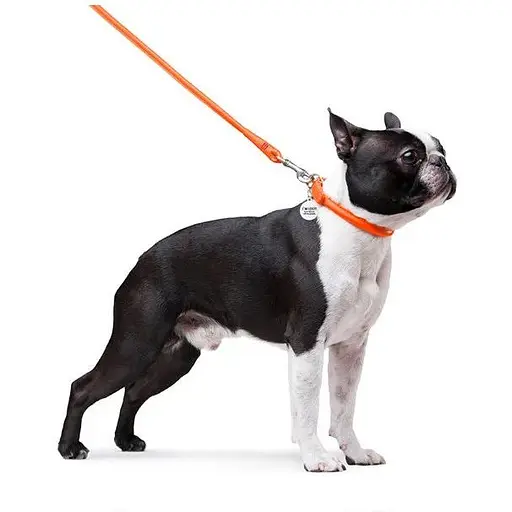 Повідець для собак Waudog Glamour шкіряний круглий, помаранчевий - фото 3