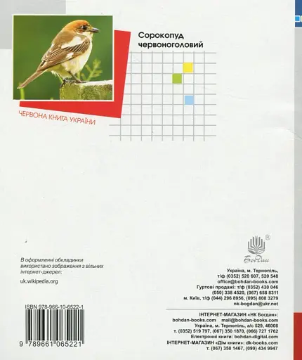 Математика. 2 клас. Діагностичні роботи - фото 2