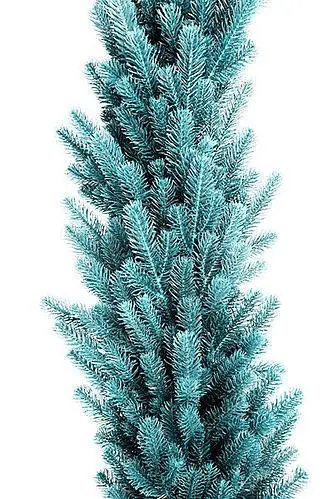 Гирлянда густая из хвои Элит 2 м литая (Голубая) - фото 2