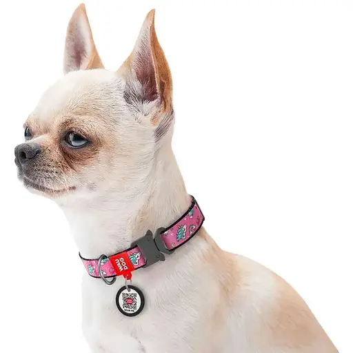 Нашийник для собак нейлоновий Waudog Nylon з QR паспортом малюнок Єдиноріг металічна пряжка-фастекс, Ш 25 мм, Д 33-49 см - фото 4