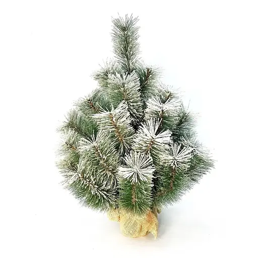 Сосна Hvoya Lux 70 см в мішковині засніжена