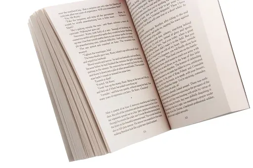 The Witcher. The Lady of the Lake - фото 2