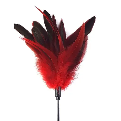 Лоскітка Art of Sex - FeaTher Paddle червона - фото 2