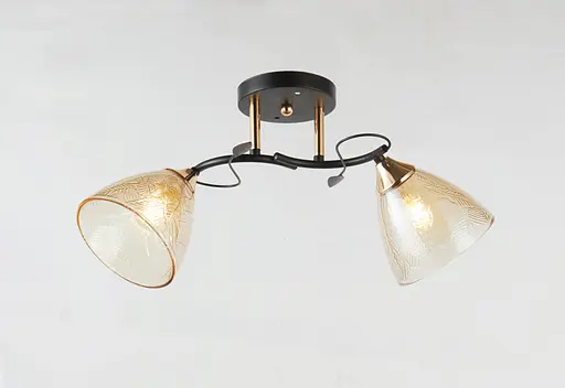 Люстра декоративна V 6363-2 BK+FG