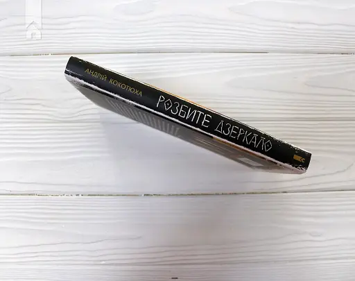 Розбите дзеркало. Павутиння мороку - фото 6