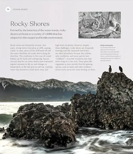 The Ocean Book: The Stories, Science, and History of Oceans - фото 3