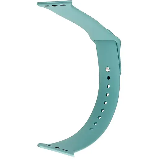 Ремешок Apple Watch Silicone 38/40/41 мм Сactus L - фото 1