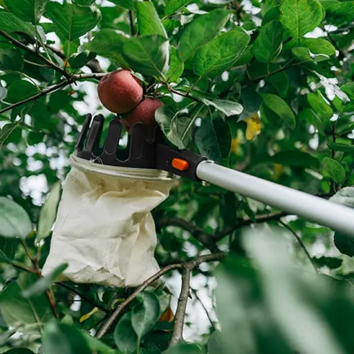 Плодосъемник Bradas на телескопическом древке 3.75 м KT-V1531-375 - фото 3