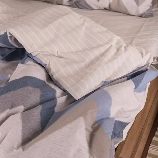 Комплект постільної білизни Viluta двоспальний ранфорс 23226 100% бавовна - фото 5