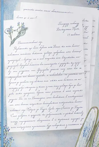 Гордість і упередження - фото 3