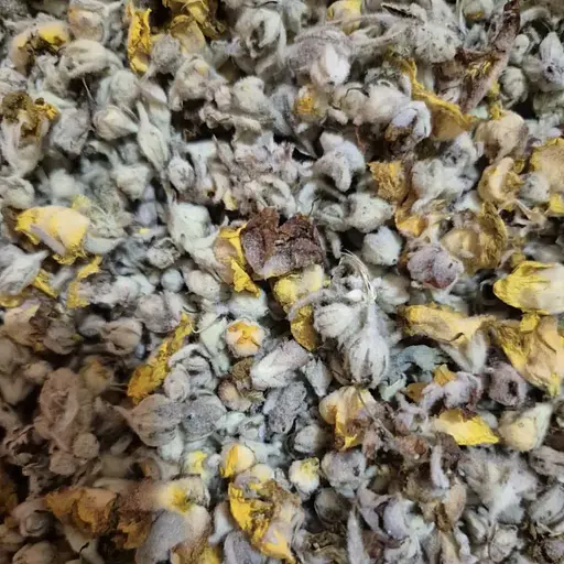 Коровяк цвет сушеный - свежий урожай 100 г 