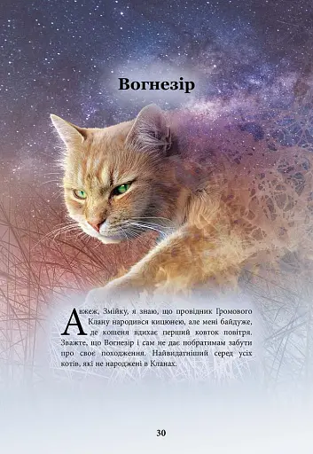 Коти - вояки. Герої Кланів. Хроніки Зореклану - Гантер Ерін - фото 5