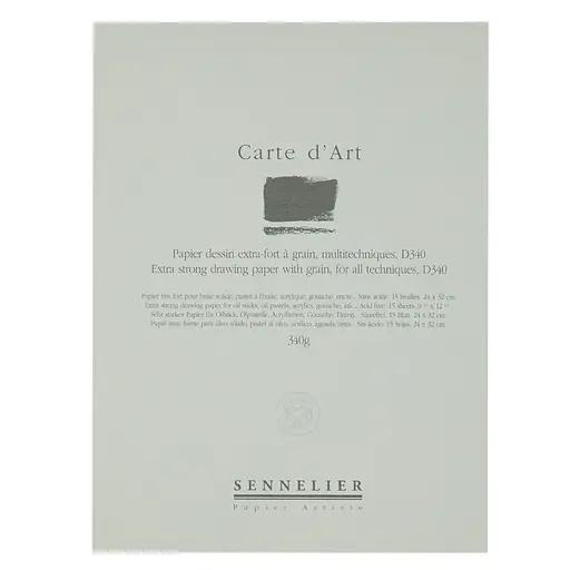 Альбом-склейка мультитехника Sennelier Carte d'art, 15 листов, 340 г/м, 24х32 см