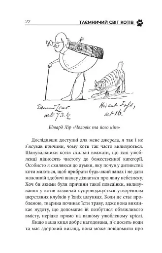 Таємничий світ котів - фото 20