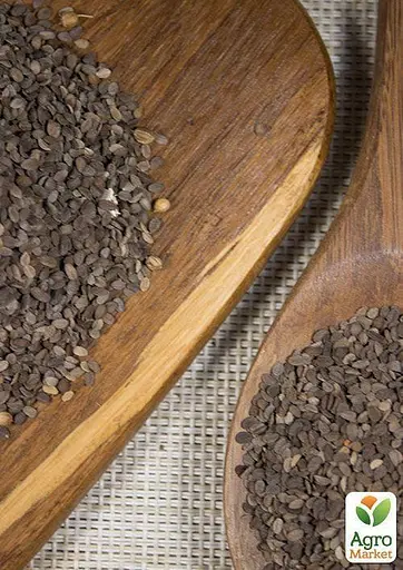 Флокс смесь Весна 1г (13269) - фото 4