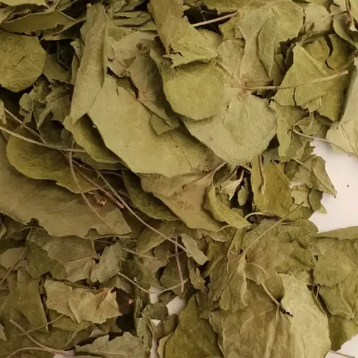 100 г копитняк європейський лист сушений - свіжий урожай