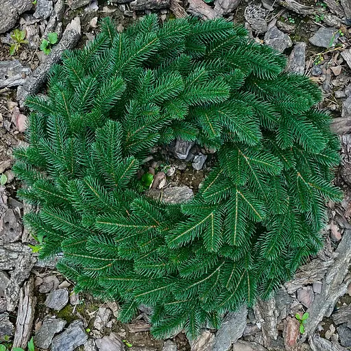 Венок рождественский хвойный Hvoya Lux литой зеленый 70 см - фото 2